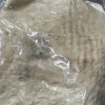 Wholesome Choice - Mold on lavash bread - Bakeries Near Me - Irvine, California