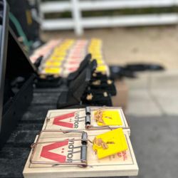 Hunting Pest Services - Setting up for rodent trapping services.