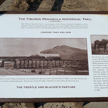 Blackies Pasture - This is stop 1 on the Tiburon Peninsula Historic Trail. - Parks Near Me - Tiburon, California