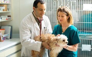 Suburban Oxygen Supply