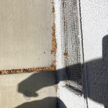 Rodent Control - Pest Control Near Me - San Jose, California Rodent Control - Pest Control Near Me - San Jose, California