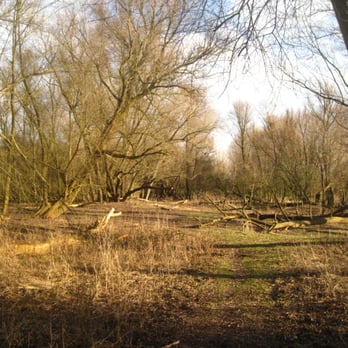 Eiland van Brienenoord - Local Flavor Near Me - Rotterdam, ZH