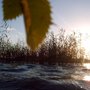 Photo of Wandern am Stechlinsee Neuglobsow