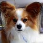 Photo of Lucky Time Dog & Car Wash