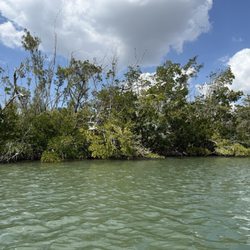 Kayak Excursions