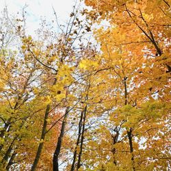UW-Madison Lakeshore Nature Preserve