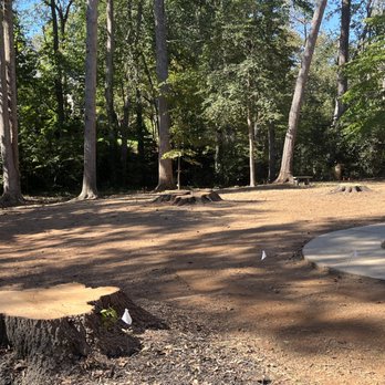Greenville Tree - The cleaned up after look. - Tree Services Near Me - Greenville, South Carolina Greenville Tree - The cleaned up after look. - Tree Services Near Me - Greenville, South Carolina