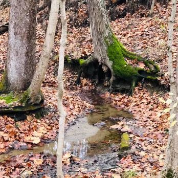 Eagle Creek Park - Parks Near Me - Indianapolis, Indiana Eagle Creek Park - Parks Near Me - Indianapolis, Indiana