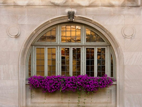 Sandra Clark Counseling + Consulting - grief counselor in Bloomington, IN