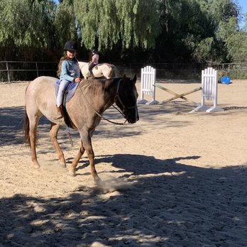 Mettrick Quarter Horses - Horseback Riding Near Me - Riverside, California Mettrick Quarter Horses - Horseback Riding Near Me - Riverside, California