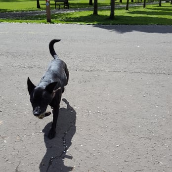 Victoria Park - Pepsi playing ball - Landmarks & Historical Buildings Near Me - Glasgow, GLG