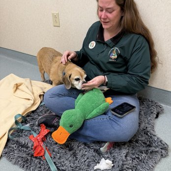 Ocean State Veterinary Specialists - Veterinarians Near Me - East Greenwich, Rhode Island Ocean State Veterinary Specialists - Veterinarians Near Me - East Greenwich, Rhode Island