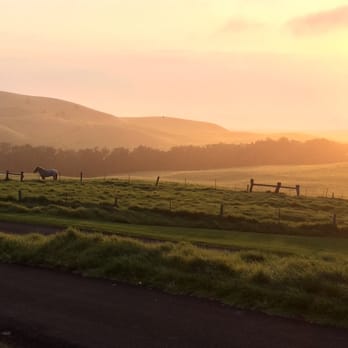 Kahua Ranch - ATV Rentals/Tours Near Me - Waimea, Hawaii