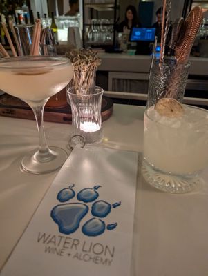 WATER LION Wine + Alchemy by null