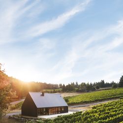 Woodshed Wine - Woodshed sits high in the Dundee Hills on a historic vineyard first planted in 1978.