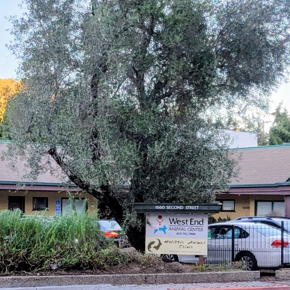 TOP 10 BEST Affordable Veterinary Clinic in San Rafael, CA - Updated 2026 -  Yelp