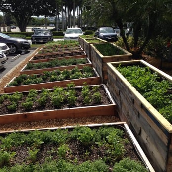Farmer's Table - Herb garden - Desserts Near Me - Boca Raton, Florida Farmer's Table - Herb garden - Desserts Near Me - Boca Raton, Florida