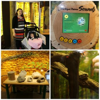 Ann Arbor Hands-On Museum - Children's Museums Near Me - Ann Arbor, Michigan