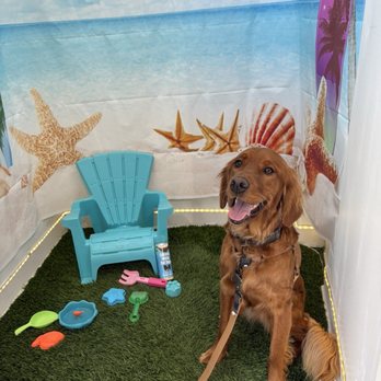 Puptqe - Pet Stores Near Me - Temecula, California