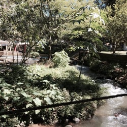Restaurant Las Hayas - If this is not a nature filled restaurant, then nothing is