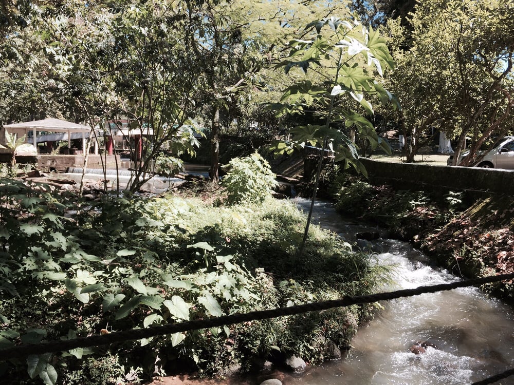 Restaurant Las Hayas