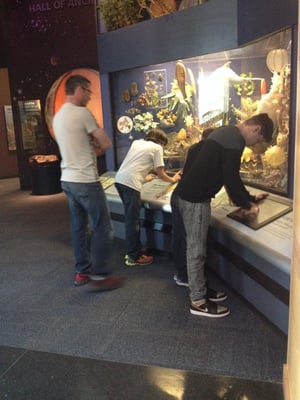 Sam Noble Oklahoma Museum of Natural History by null