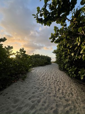 Ocean Reef Park by null