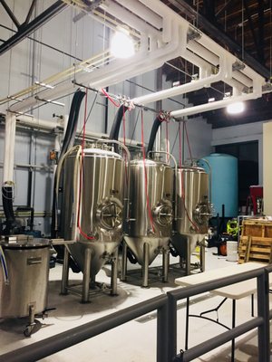 Giant Jones Brewing by null