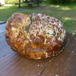 Rock with fossils found in the river