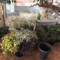 Seri's Blumen