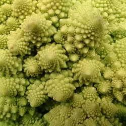 Jumbo - Jumbo. Brócoli.