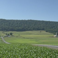 The Dairy Barn - Beautiful views!!!