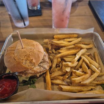 1928 Public House - Chicken herb sandwich on gluten-free bun - American Near Me - Middleburg Heights, Ohio 1928 Public House - Chicken herb sandwich on gluten-free bun - American Near Me - Middleburg Heights, Ohio