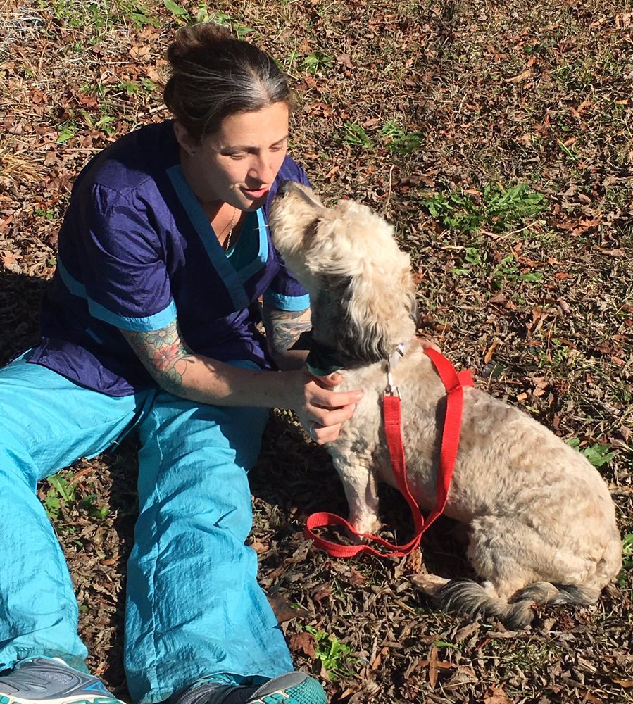 BARKING FUR BUBBLES MOBILE GROOMING Updated July 2024 33 Photos