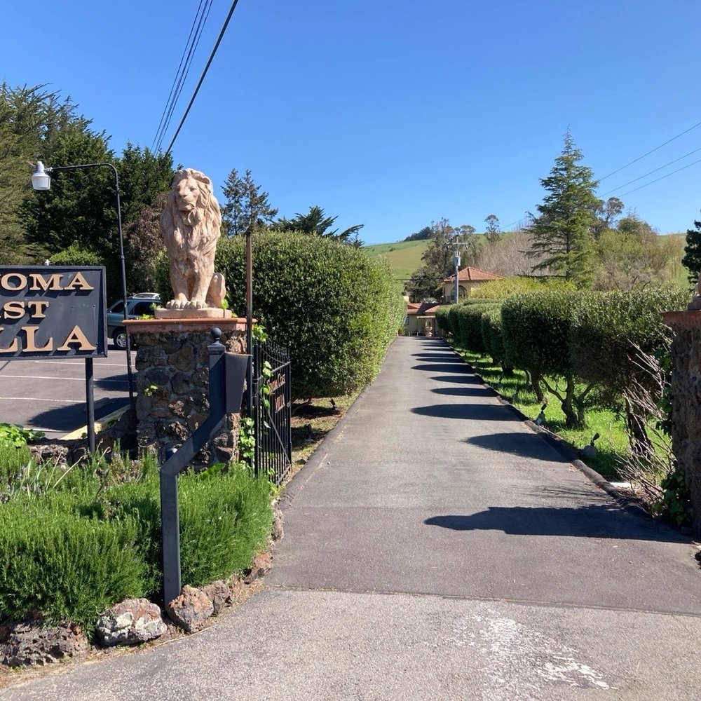 Sonoma Coast Villa - The drive up to the hotel - Hotels Near Me - Bodega, California Sonoma Coast Villa - The drive up to the hotel - Hotels Near Me - Bodega, California
