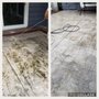 Photo of Zoeys Window and Gutter Cleaning