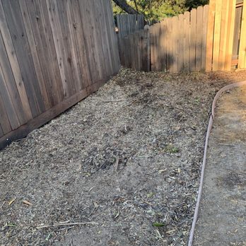 Tailored Tree Service - Finished and stump grinding done - Tree Services Near Me - El Dorado Hills, California Tailored Tree Service - Finished and stump grinding done - Tree Services Near Me - El Dorado Hills, California