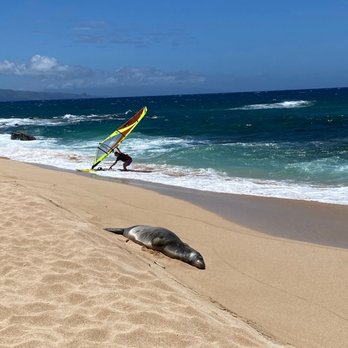 Hookipa Beach Park - Parks Near Me - Paia, Hawaii Hookipa Beach Park - Parks Near Me - Paia, Hawaii