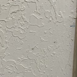Ants. The counters and furniture are dark so those photos were hard to see more ants in the room.