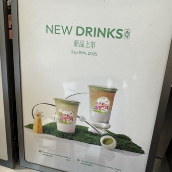 Molly Tea - Specials - Bubble Tea Near Me - Sunnyvale, California Molly Tea - Specials - Bubble Tea Near Me - Sunnyvale, California
