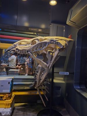 Pandora – The World of Avatar by null