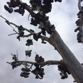 U-Dig Fossils - Shoe tree on the way to the U-Dig site - Hobby Shops Near Me - Delta, Utah U-Dig Fossils - Shoe tree on the way to the U-Dig site - Hobby Shops Near Me - Delta, Utah