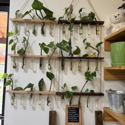 Mari’s Urban Garden - Retail space