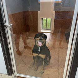 The Pet Palace