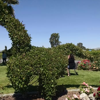 Concannon Vineyard - Grass figures - Wine Tasting Room Near Me - Livermore, California