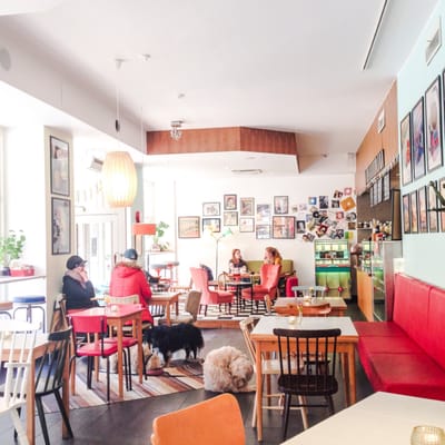 Älskade traditioner by null