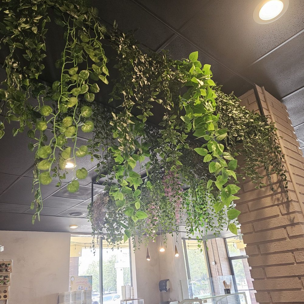 Fika Fika Coffee - Coffee & Tea Near Me - Pasadena, California Fika Fika Coffee - Coffee & Tea Near Me - Pasadena, California
