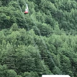 Timeless Getaways - Ziplining in Alaska