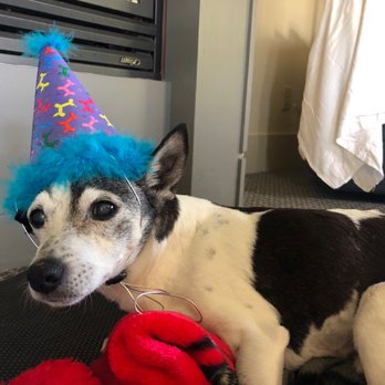 Carmel Country Inn - Boudreaux loved his birthday overnight! - Hotels Near Me - Carmel, California Carmel Country Inn - Boudreaux loved his birthday overnight! - Hotels Near Me - Carmel, California