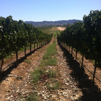 Ponte Winery - Wineries Near Me - Temecula, California